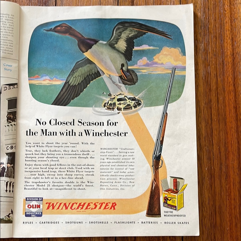 Vintage Winchester Advertisement Poster